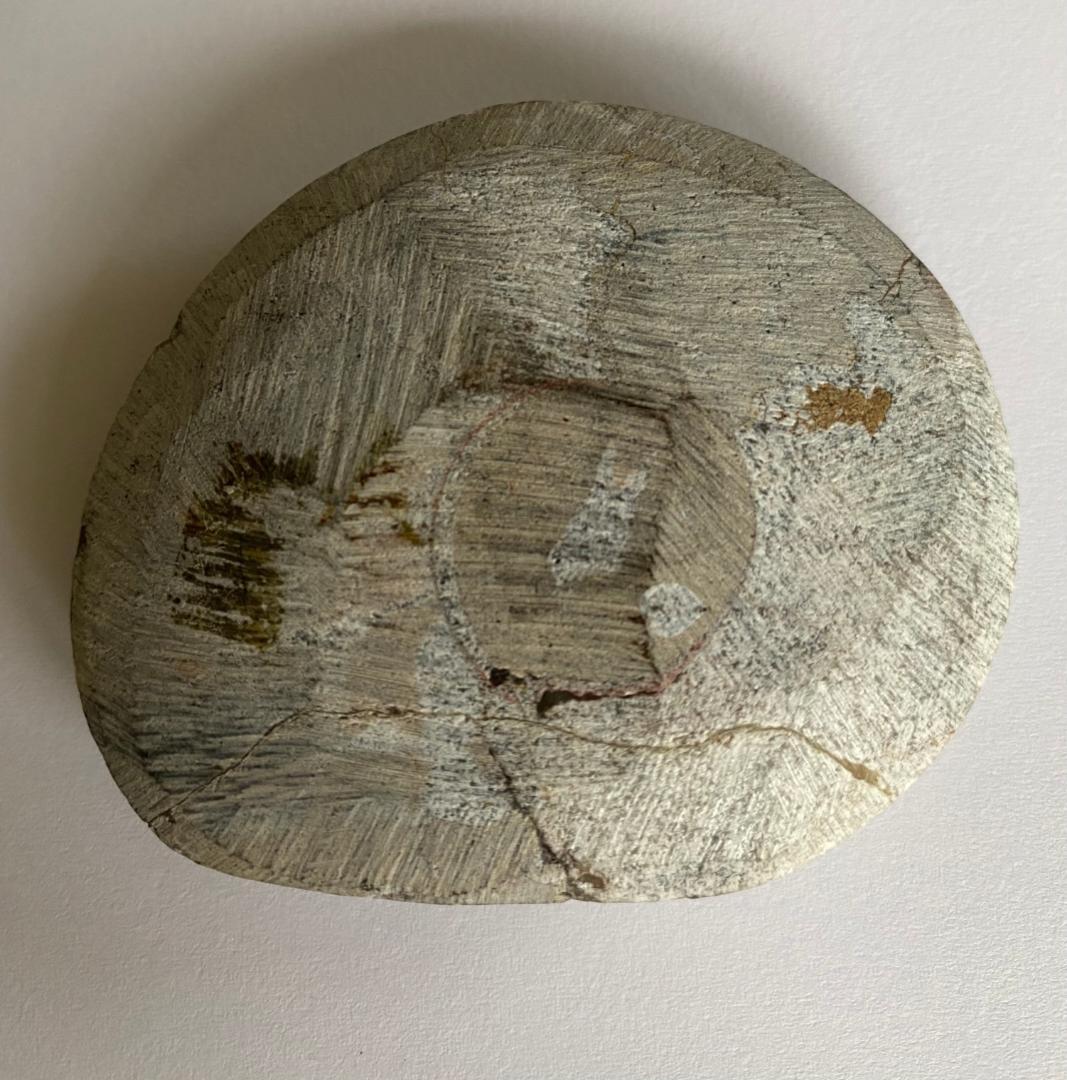 モロッコ産　アンモナイト　化石　⑮