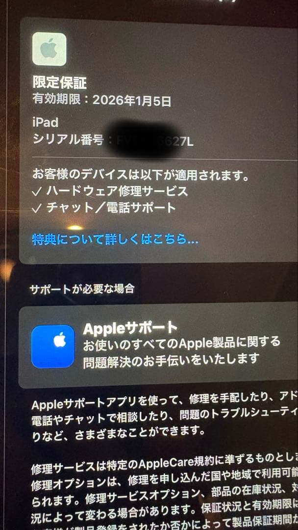 iPad第10世代 wifi 64GB ブルー 美品
