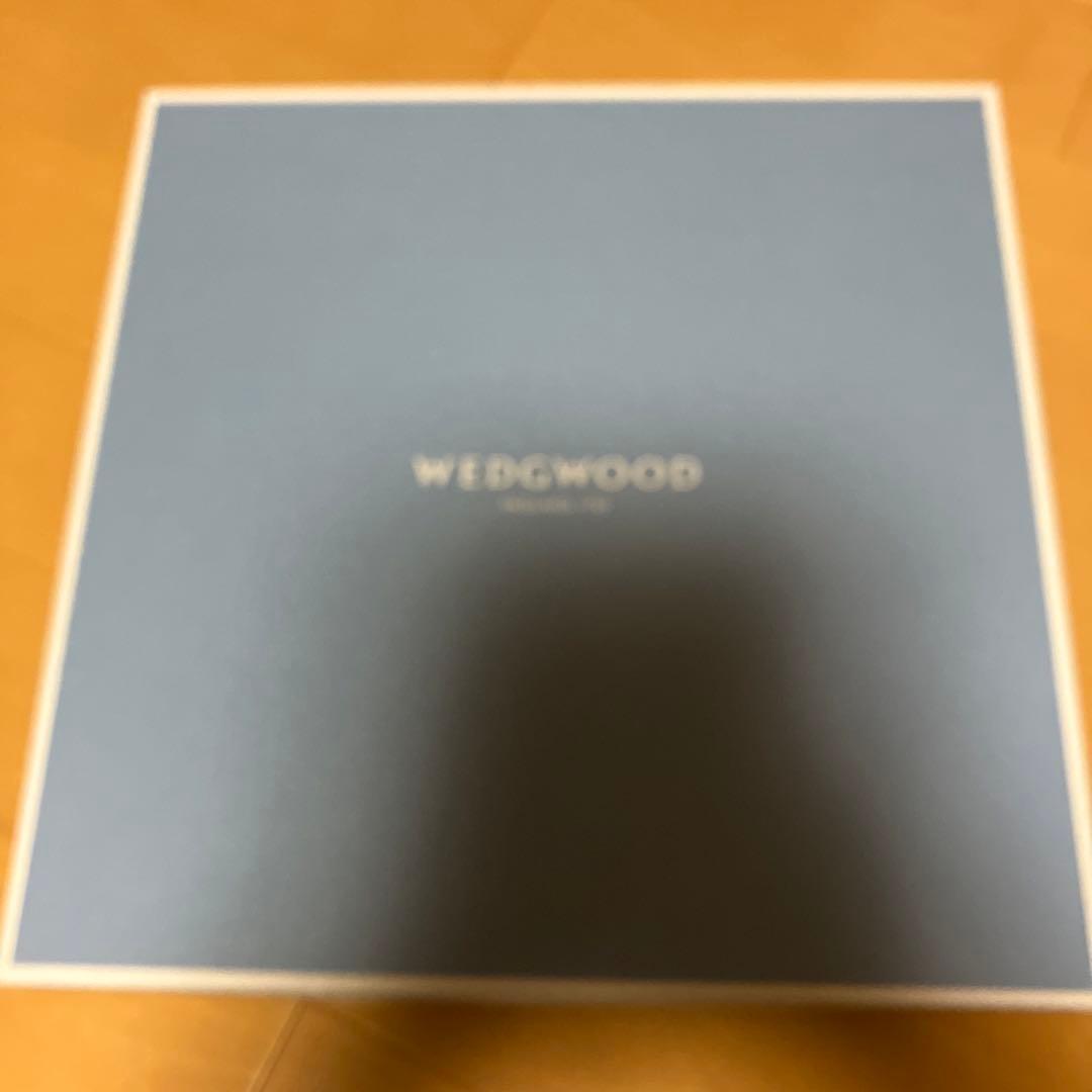  花柄皿 陶磁器 スプリングブロッサム27センチ２枚セット