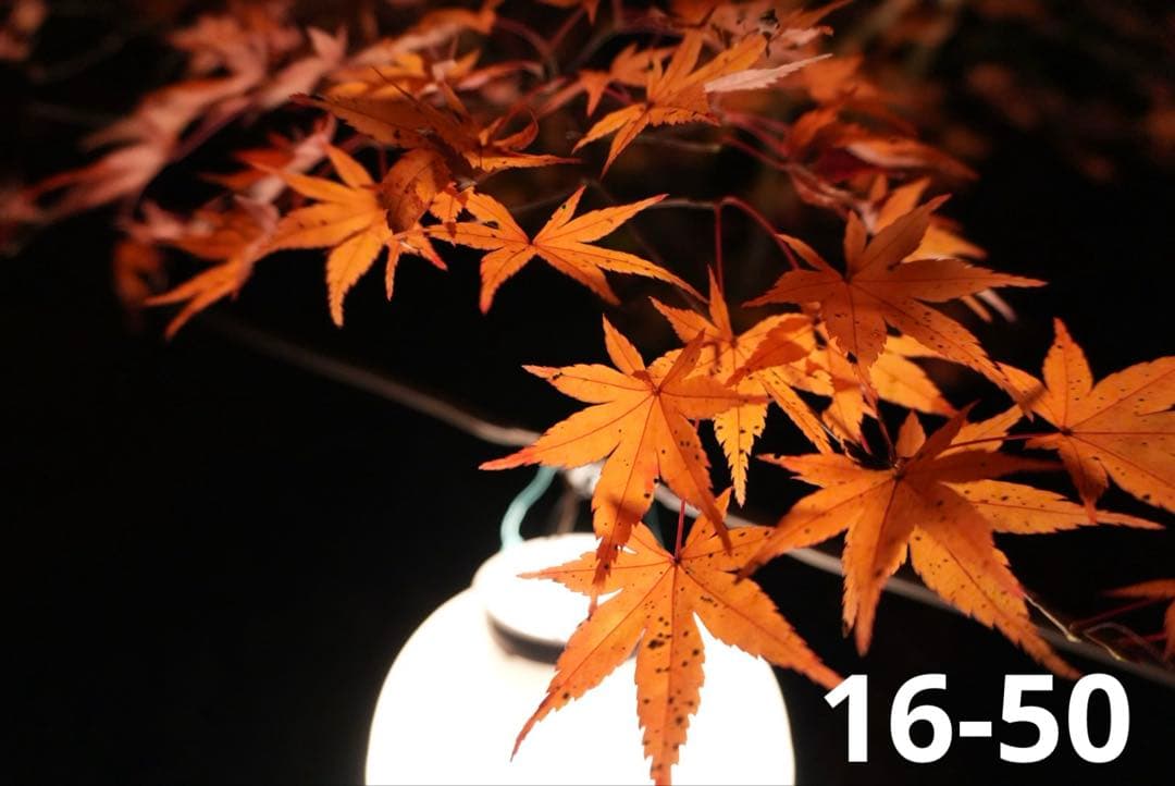 【新品級美品】SONY ZV-E10Ⅱ ダブルズームセット ホワイト 付属品完備