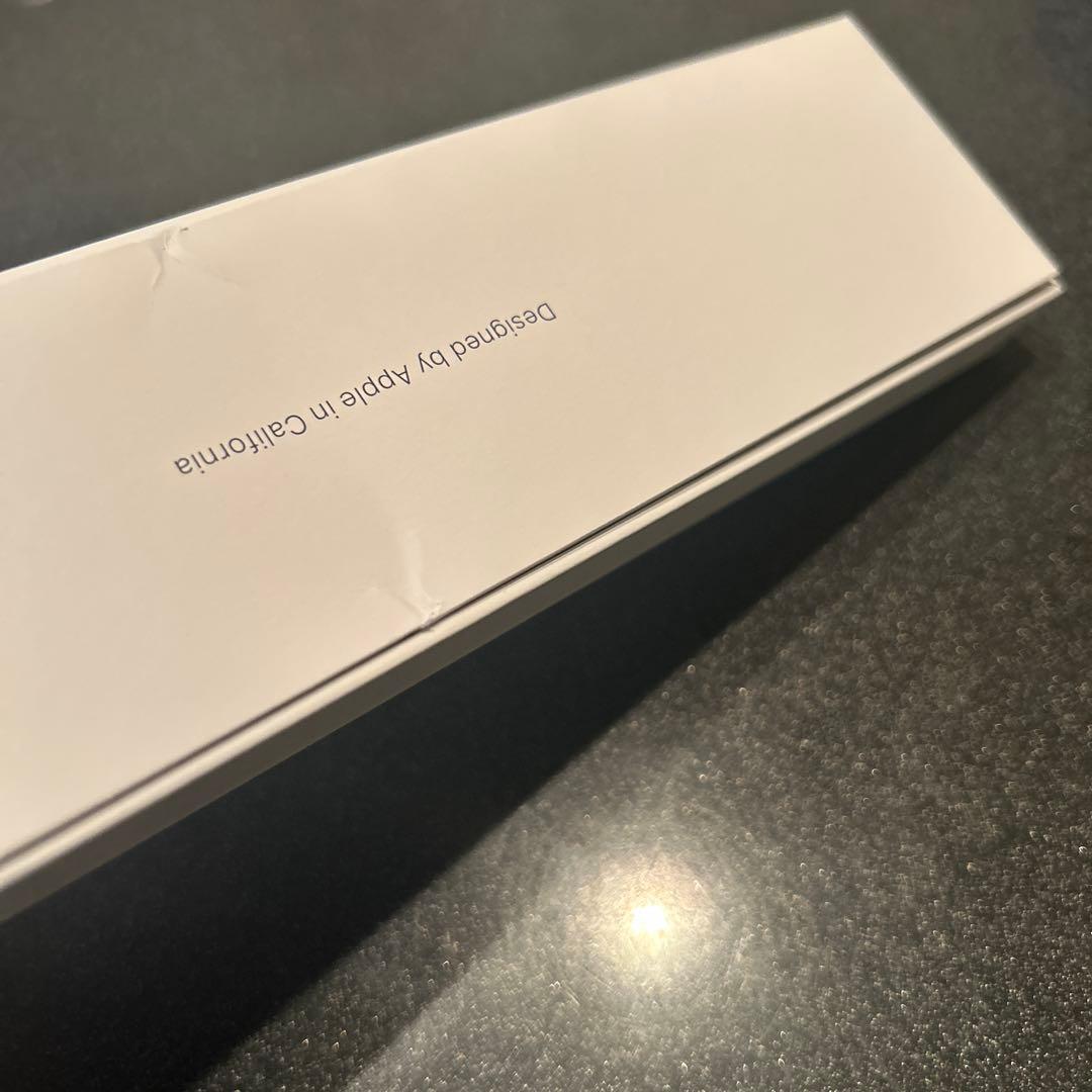 Apple Pencil USB-C アップルペンシルtypeC 純正品