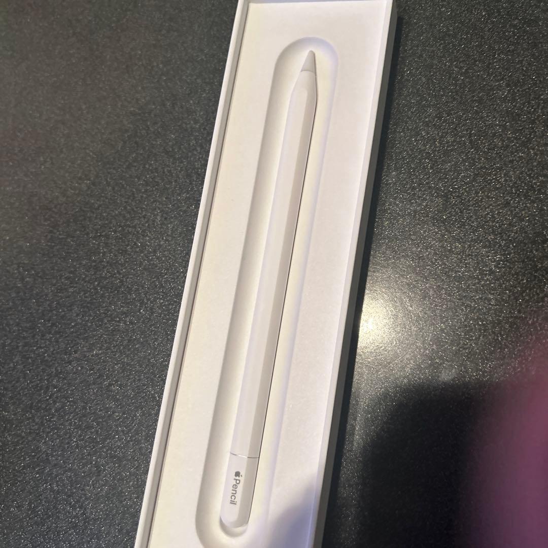 Apple Pencil USB-C アップルペンシルtypeC 純正品