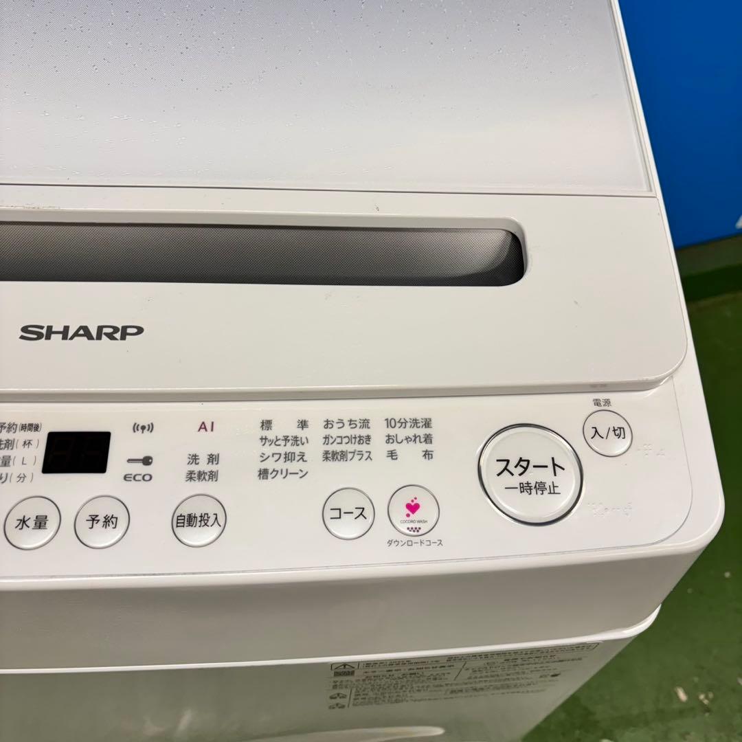 555 SHARP 最新 2025年製 洗濯機 極美品 小型 家庭用 一人暮らし