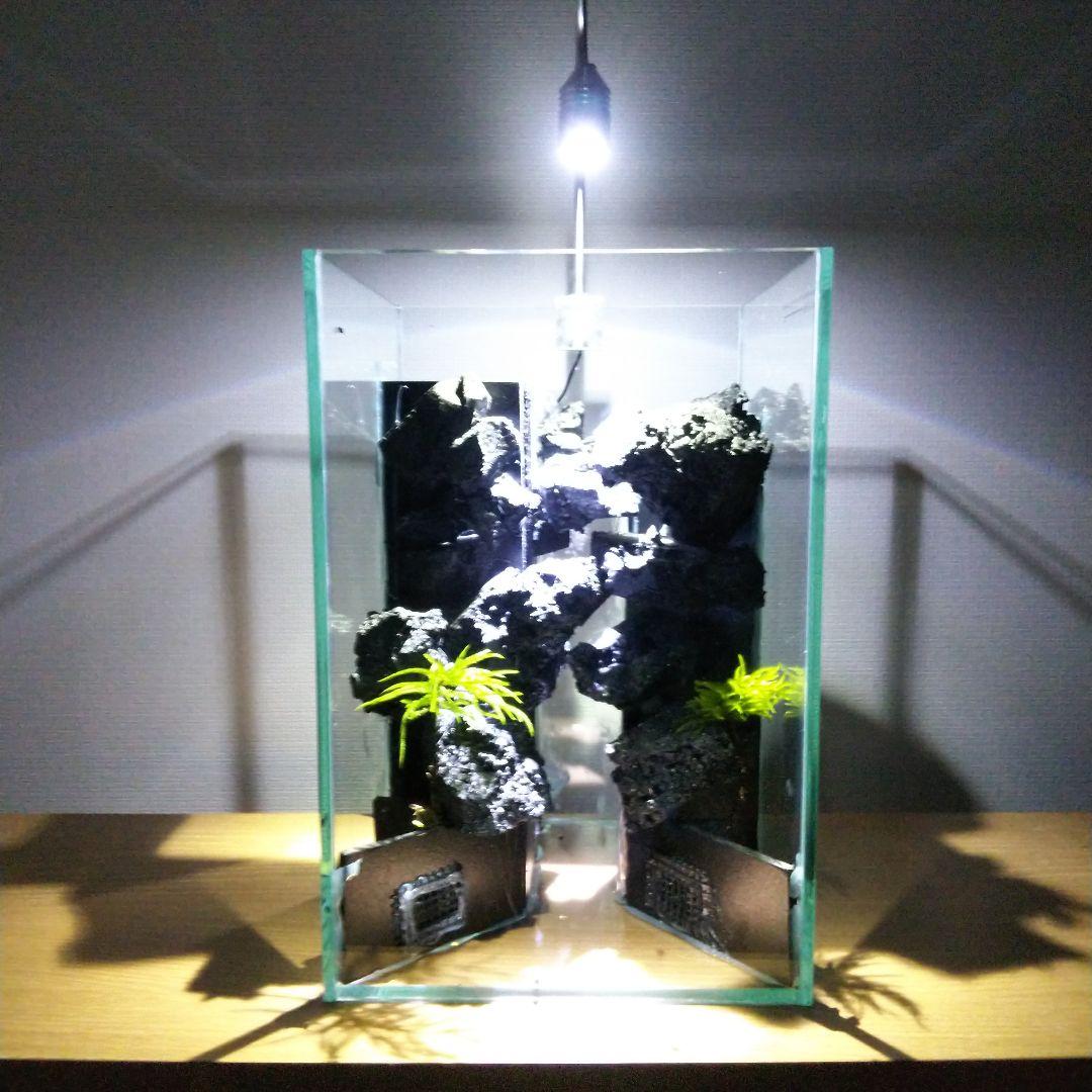 【完成品】滝の流れるアクアテラリウム　イモリウム　苔　　アクアテラリウム完成品