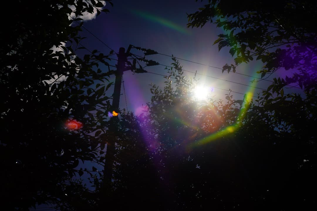 【バブルボケ】ミノルタ Auto-Rokkor-PF 58mm F1.4 125