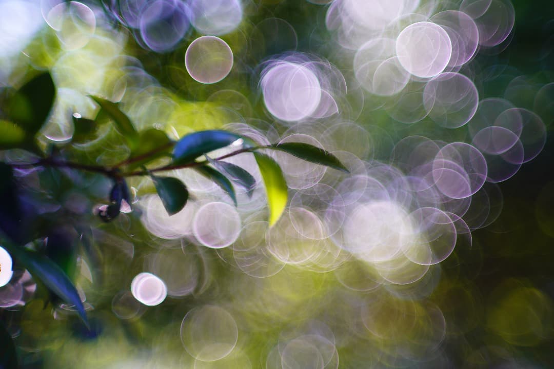 【バブルボケ】ミノルタ Auto-Rokkor-PF 58mm F1.4 125