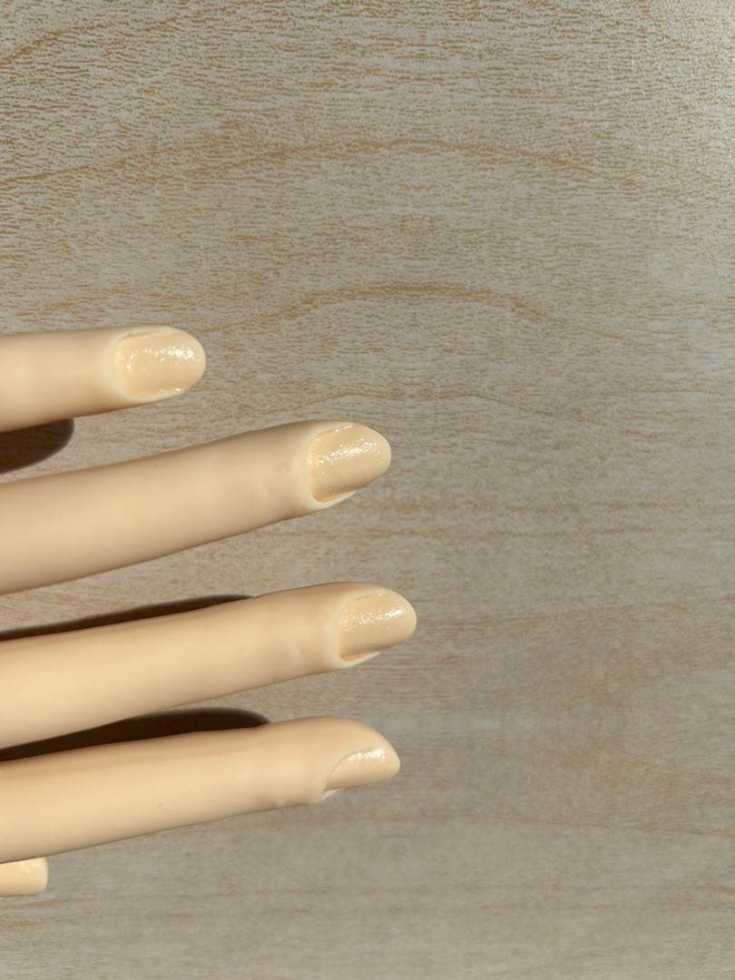 ネイルアート練習用ハンド・チップセット （JNEC認定モデルハンド）