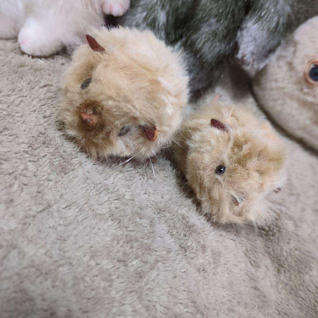 アートドール 作家 ぬいぐるみ 猫 セット ハンドメイド 国内 アーティスト