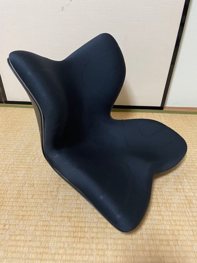 MTG Style スタイルプレミアム 姿勢矯正椅子