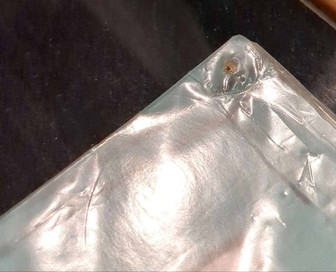 【希少・当選品】名古屋グランパス ヴァスティッチ 直筆サイン入り写真 月刊グラン