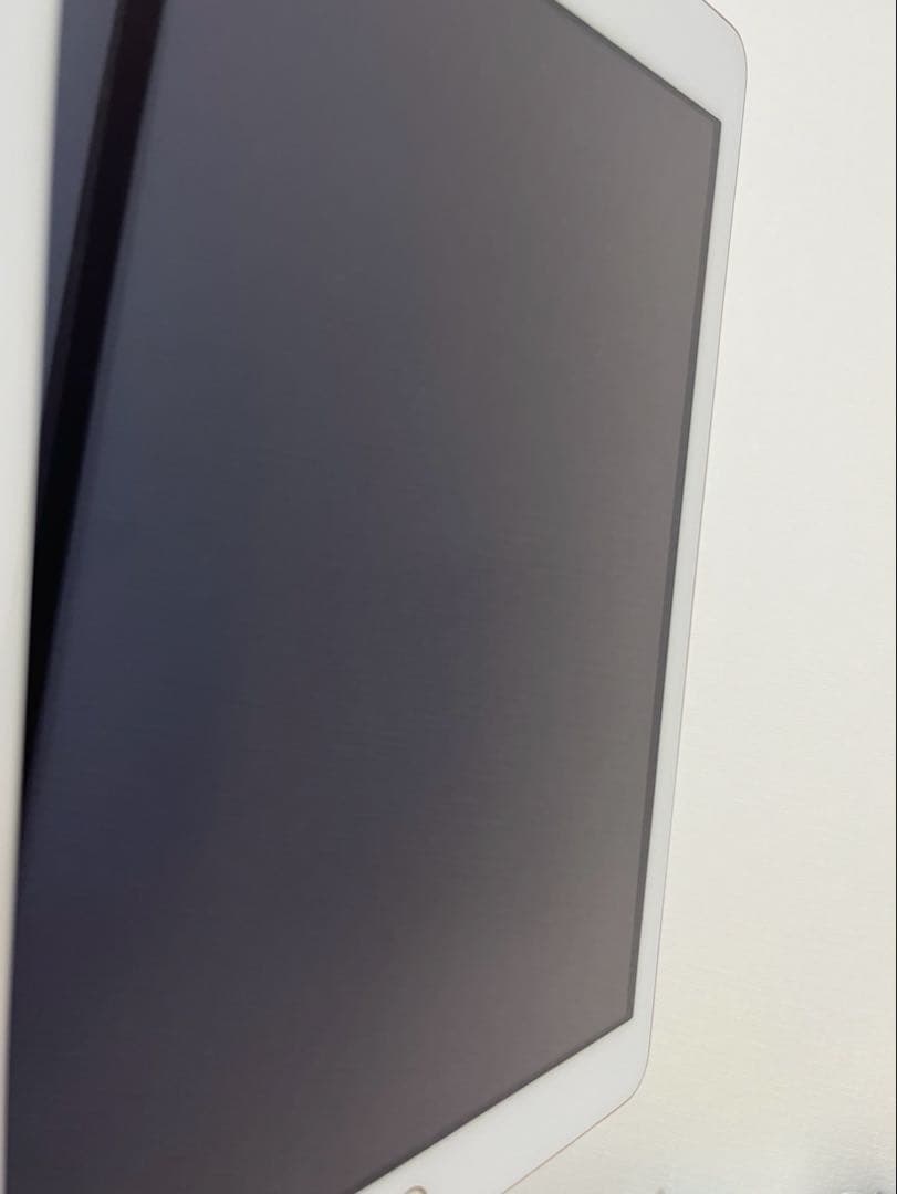 ipad 第五世代 本体 128GB