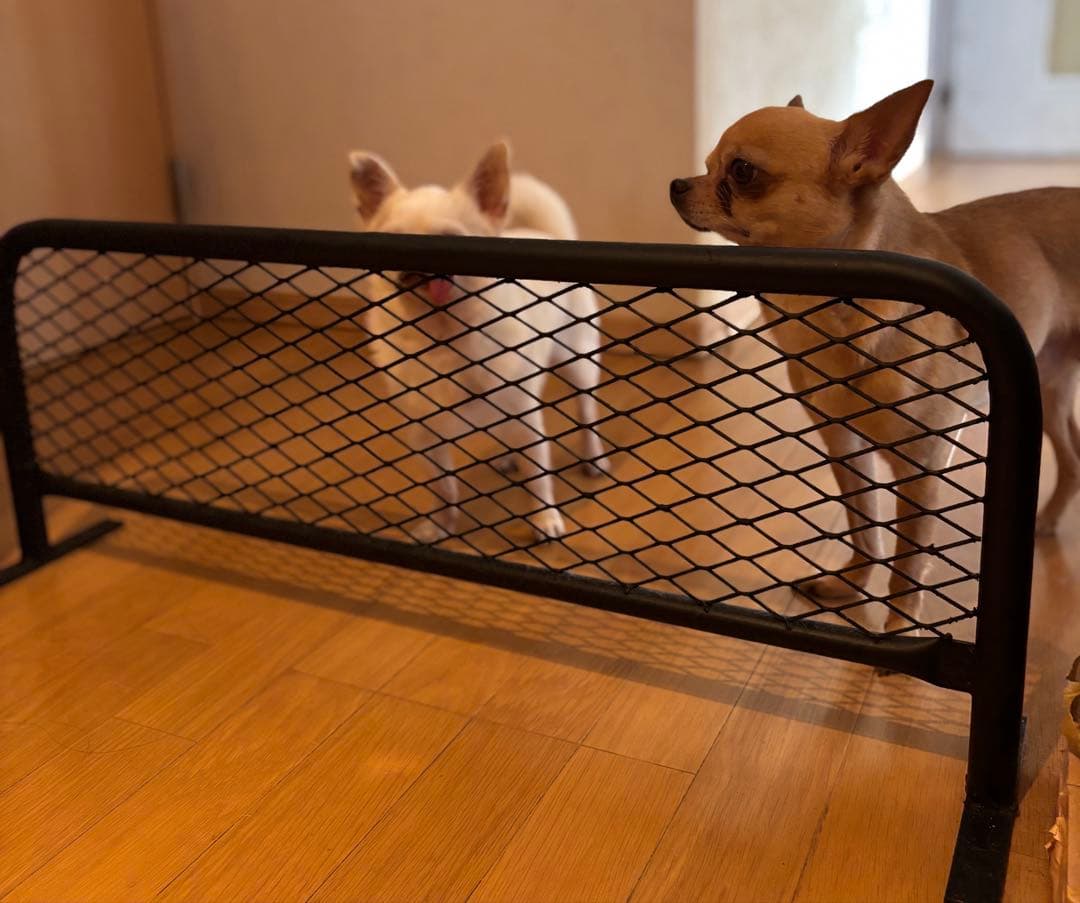 愛犬の脱走防止に！自立式アメリカンフェンス風バリケード800×400