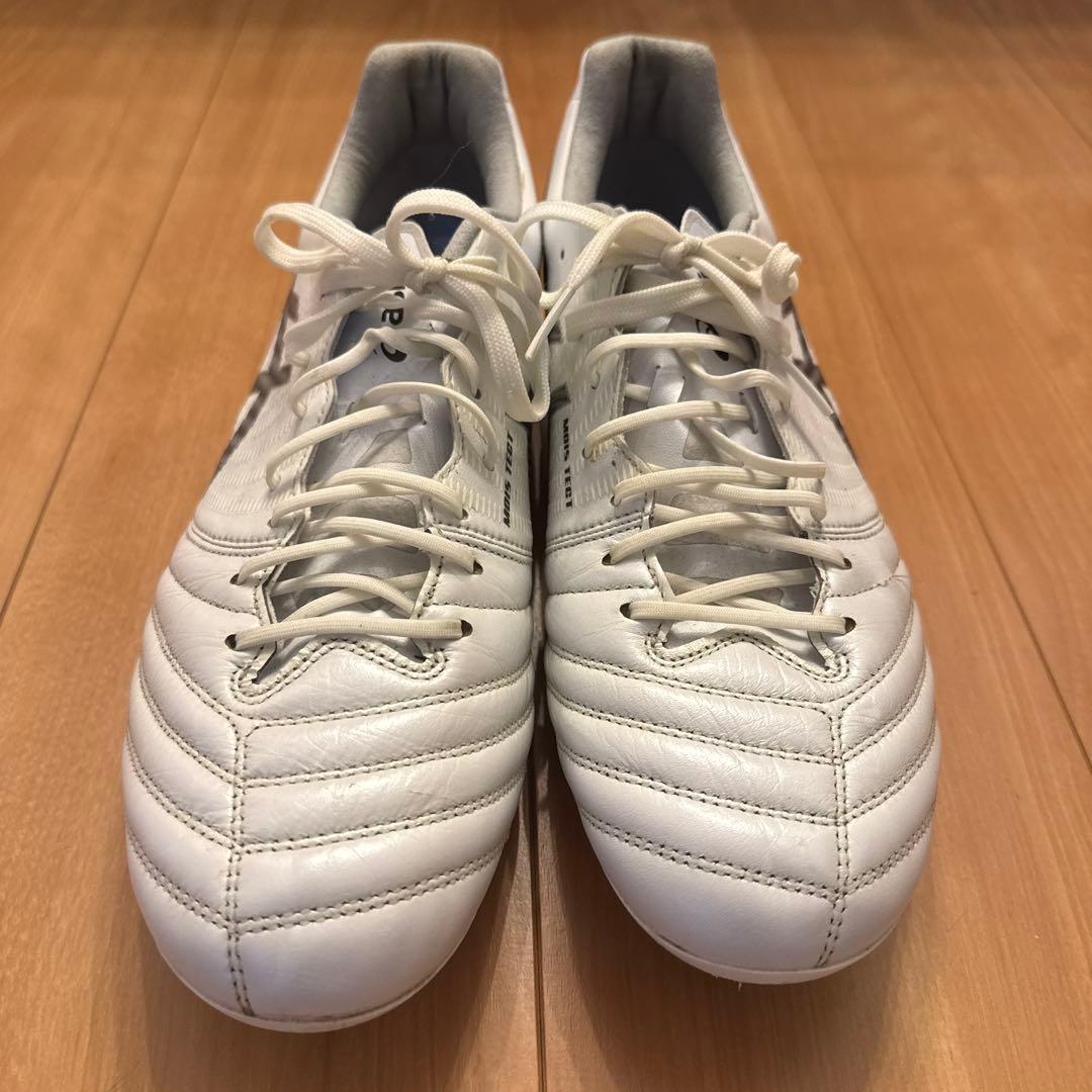 取替式DS LIGHT X-FLY