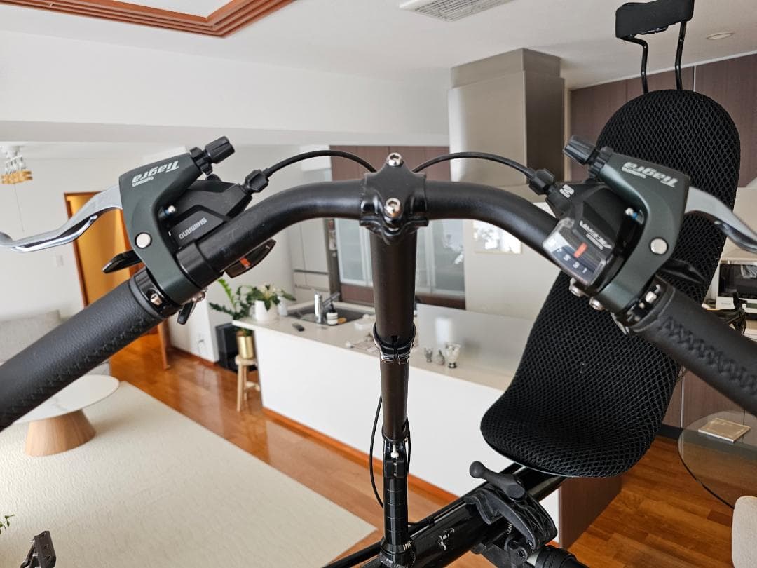 Performer Unicorn リカンベントバイク フレームセット