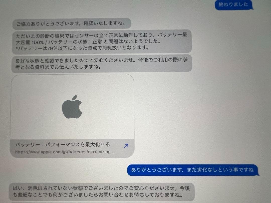 極美品 iPad 第10世代 256GB Wi-Fi シルバー Apple