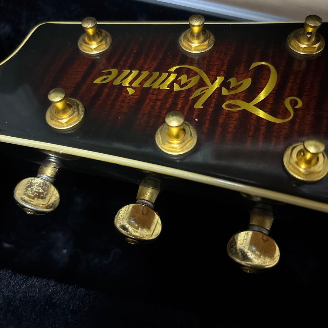 タカミネ NPT-115 エレアコ ハードケースつき