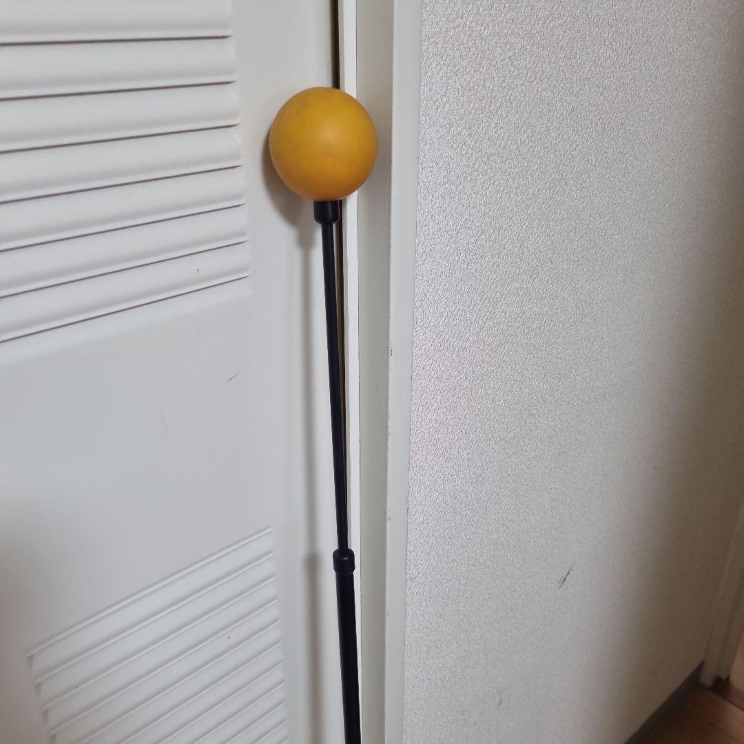 オレンジウィップ