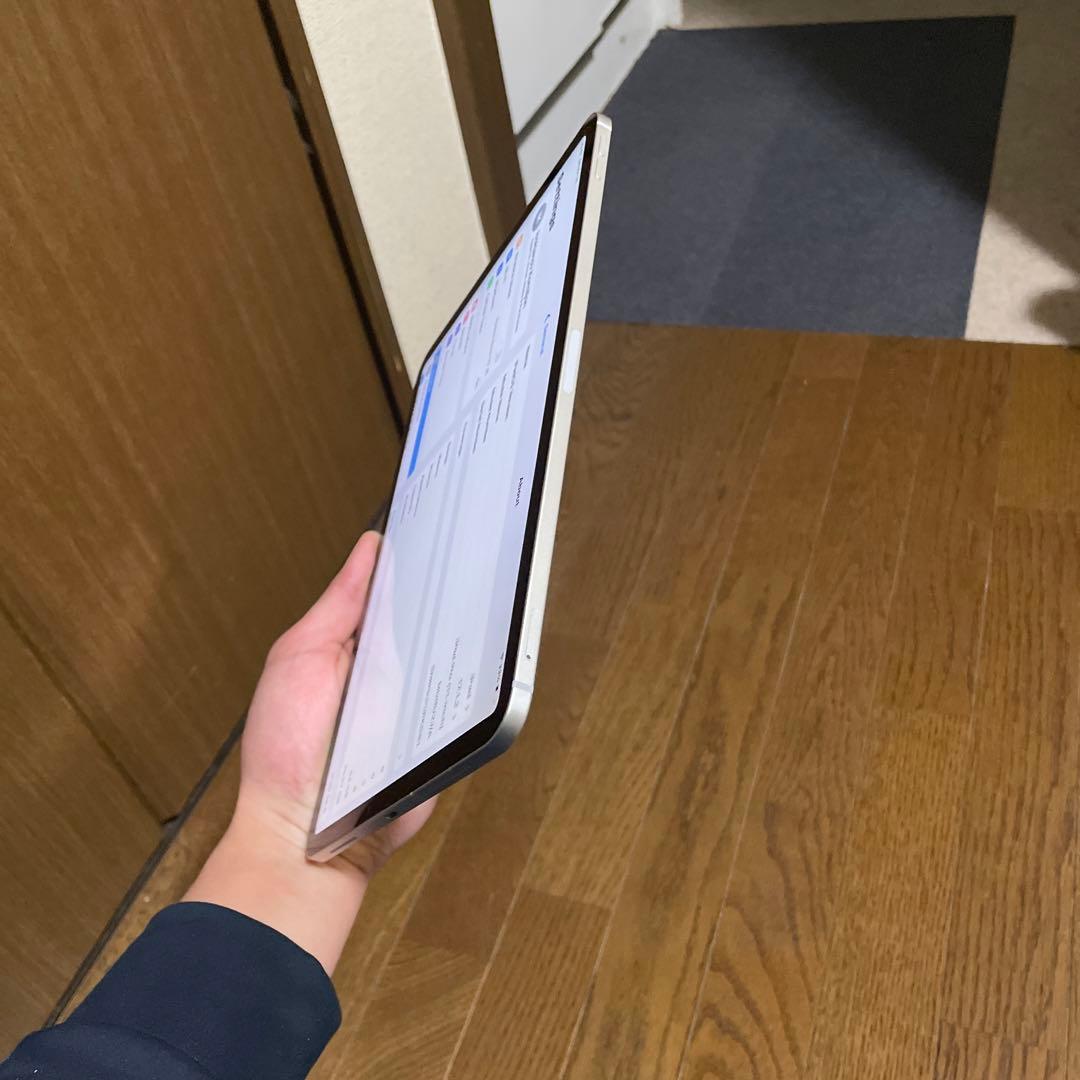 iPad本体 Ipad pro (11-inch)
