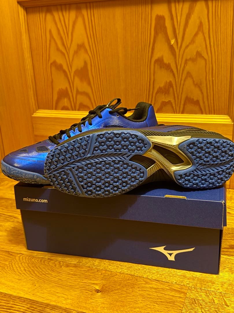 【新品】ミズノ テニスシューズ ウエーブエクシード 4SW OC／26cm 幅広