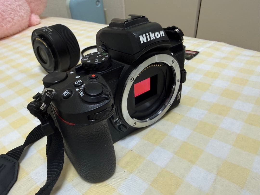 (ショット数1790) ニコンZ50 + DX 24mm f1.7 おまけ付き