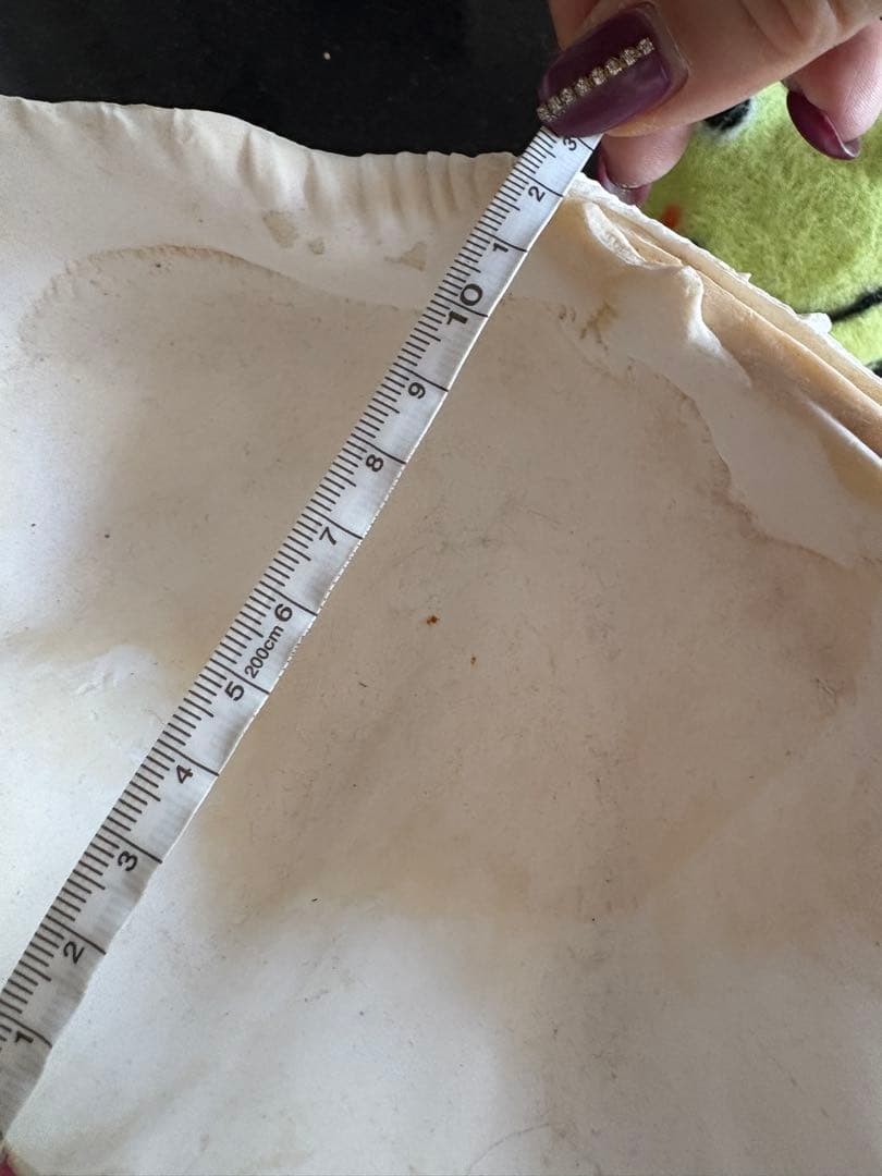 天然貝殻のインテリア置物　ハワイ産