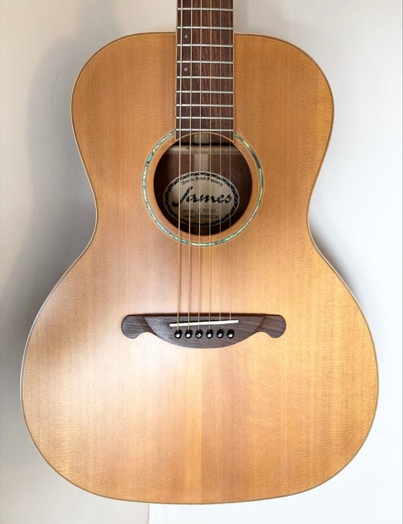 【最終値下げ】JAMES JP600NS アコースティックギター　ニューヨーカー