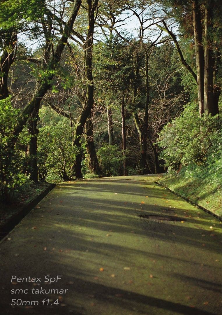 ★初期保証★PENTAX SPF/smc f1.4★完動品＊美品★作例多数