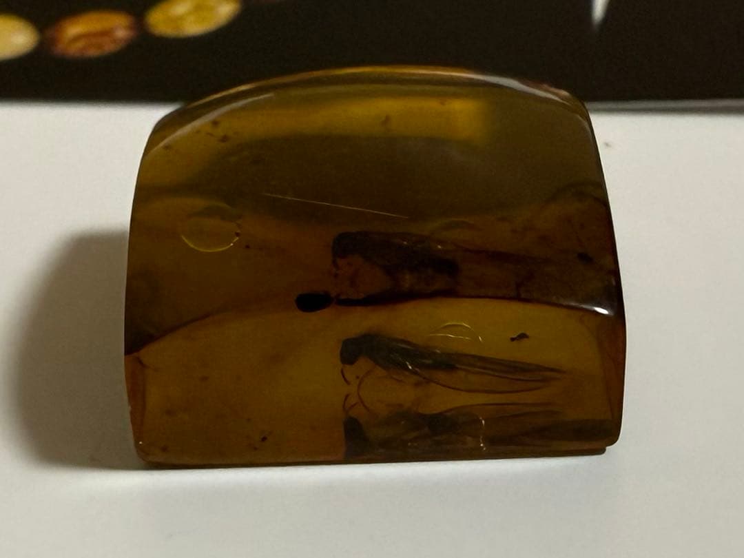 新品未使用 バルティックアンバー 虫入り琥珀 スクエア ルース 2/2
