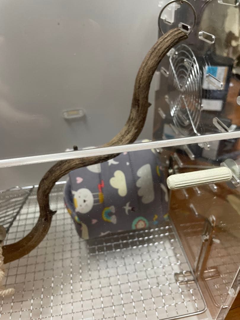 G*C様 フクロモモンガ アクリルケージ