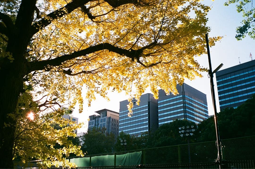 【動作品】 RICOH FF-1s フィルムカメラ