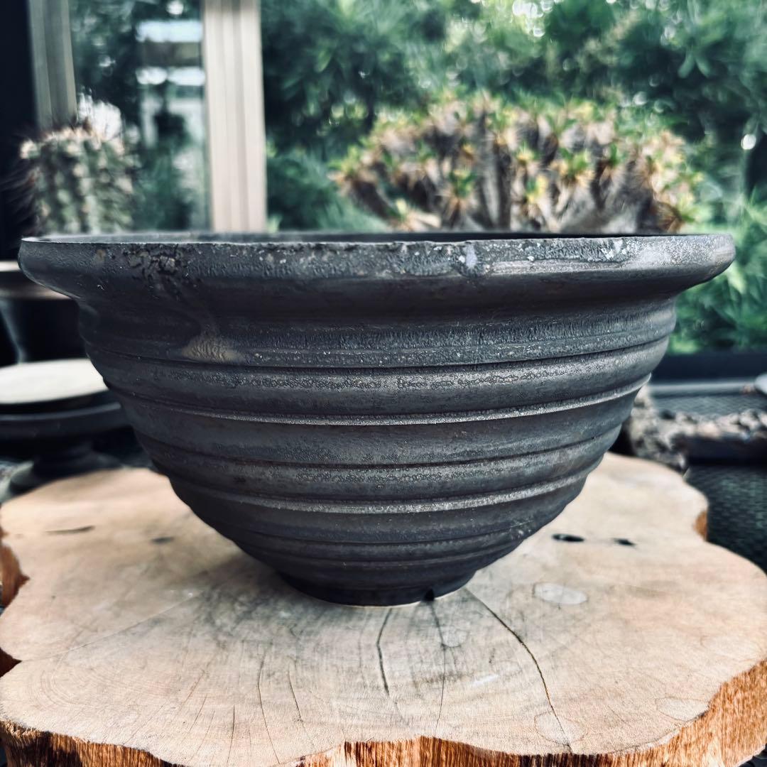 山中勇人 作家鉢 特大鉢 y鉢 アガベ パキプス グラキリス 塊根 植木鉢