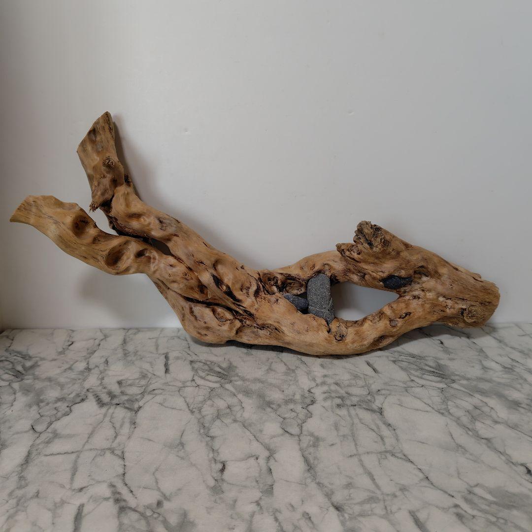 アク抜き済み流木【858】セール