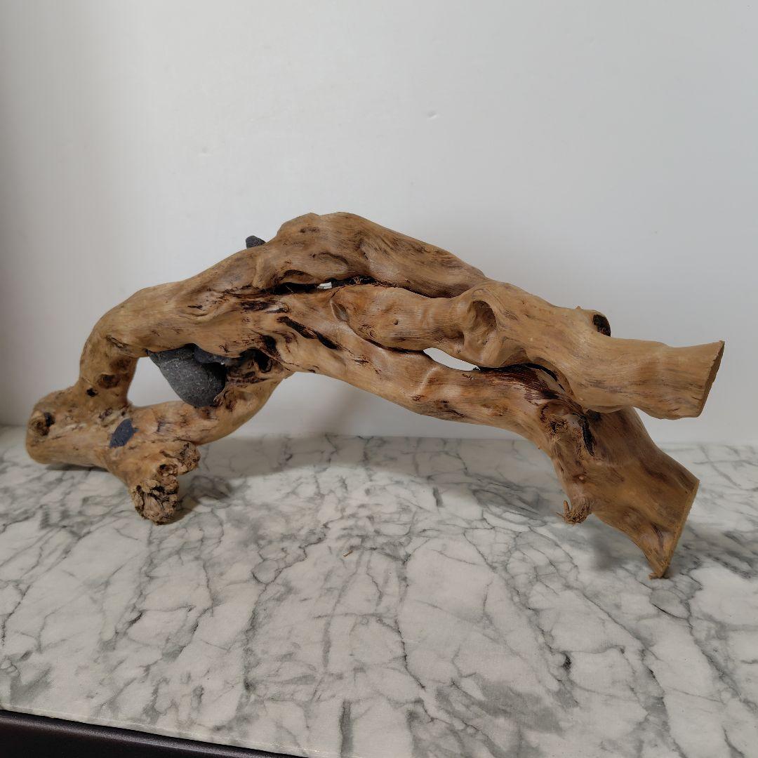 アク抜き済み流木【858】セール