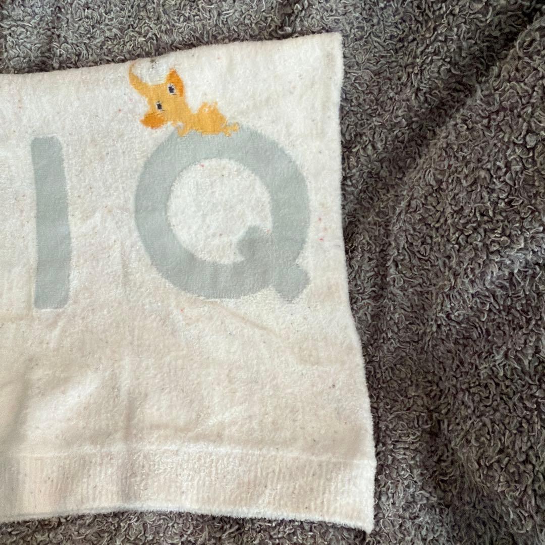 gelato pique ジェラートピケ ピクミンブランケット F