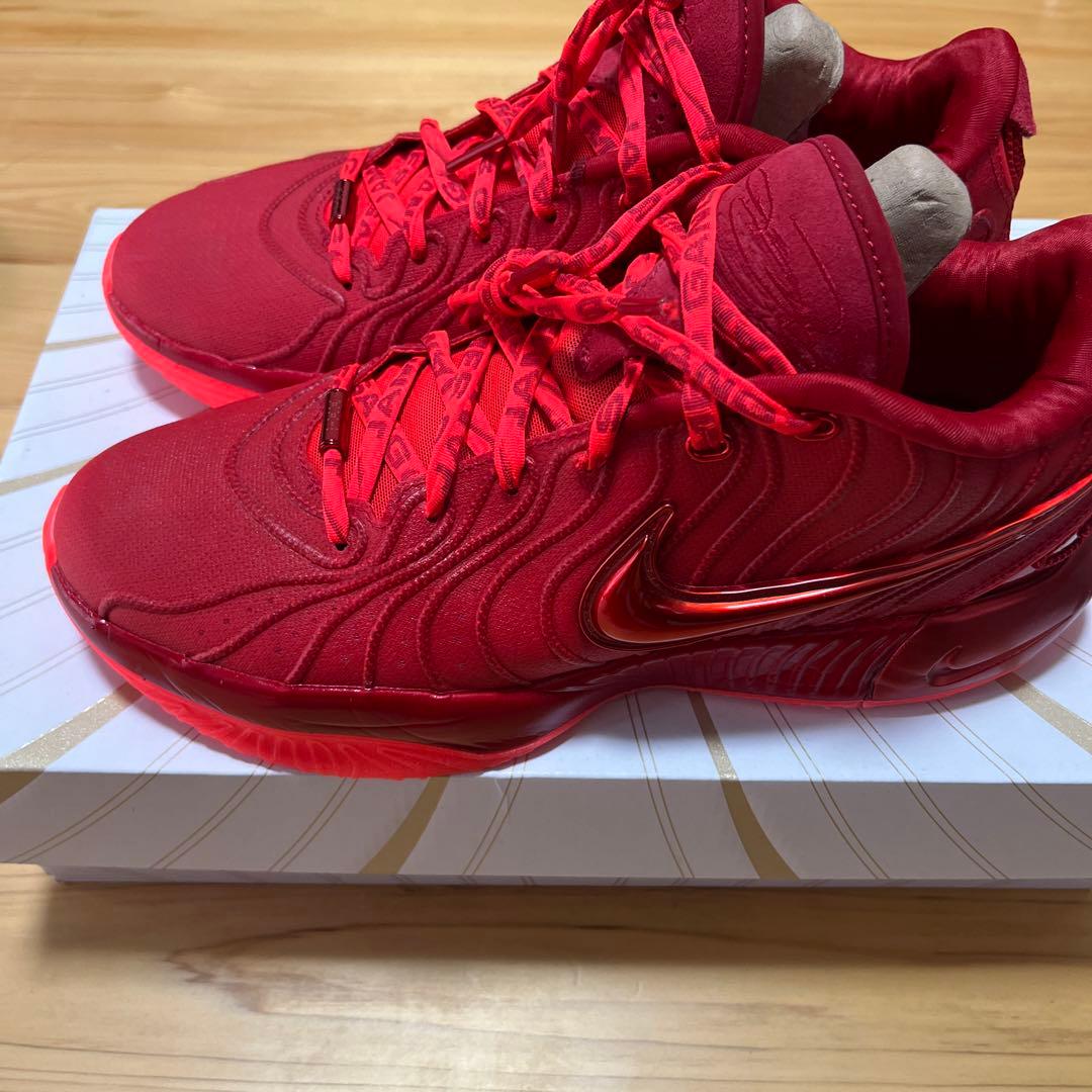 nike lebron 21 james gang ナイキ　レブロン ジェームズ