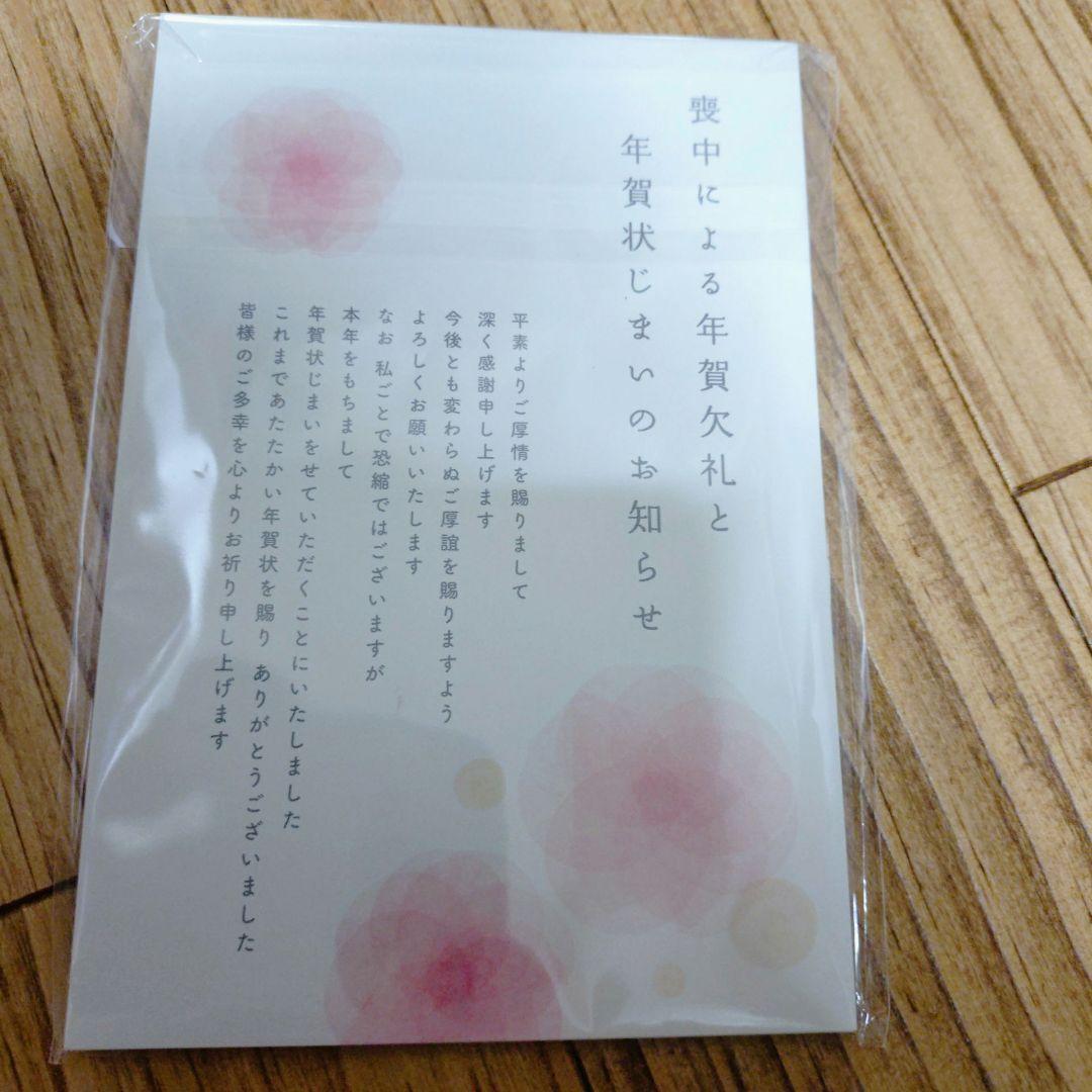寒中見舞い（年賀状じまい文章）私製ハガキ 10枚入り【特選デザイナーズ】パピレイ