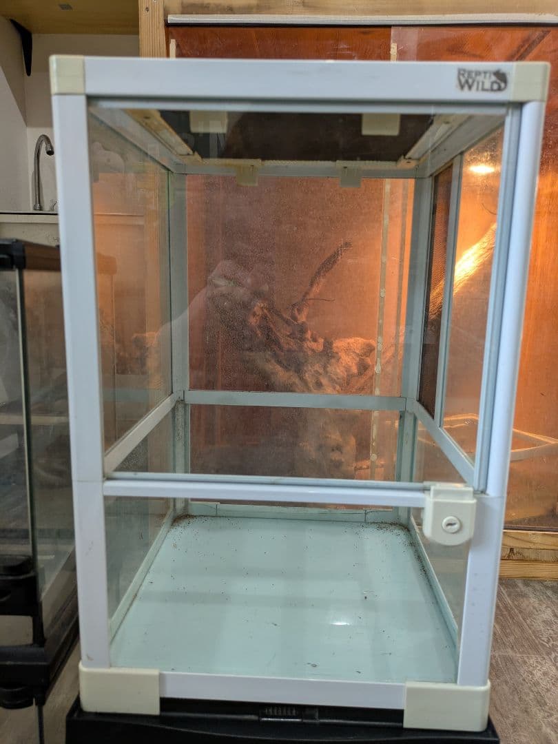 爬虫類ケージまとめ売り