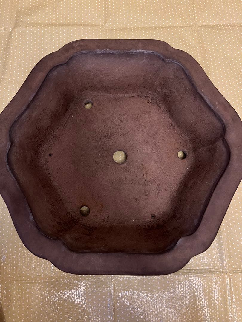 もつなべ　盆栽鉢　大型　斎田三峰　おまとめ