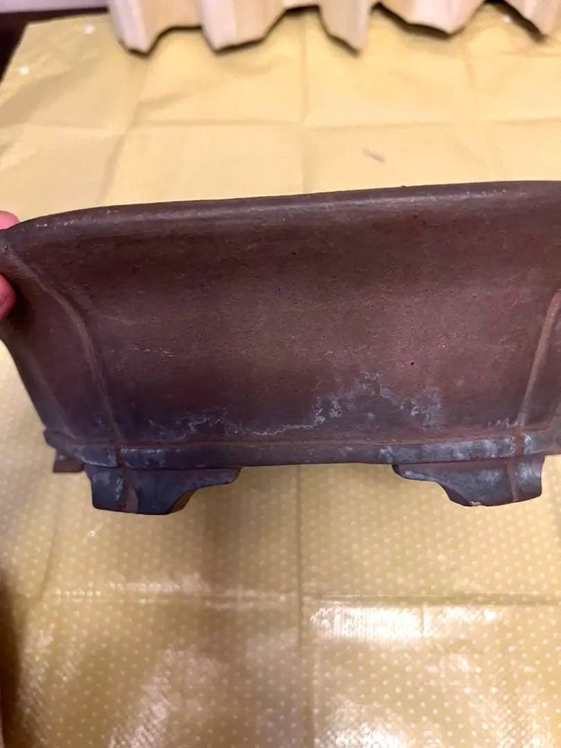 もつなべ　盆栽鉢　大型　斎田三峰　おまとめ