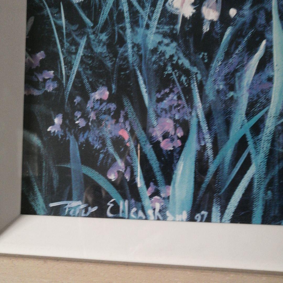 ピーターエレンショー　額つき　ポスター