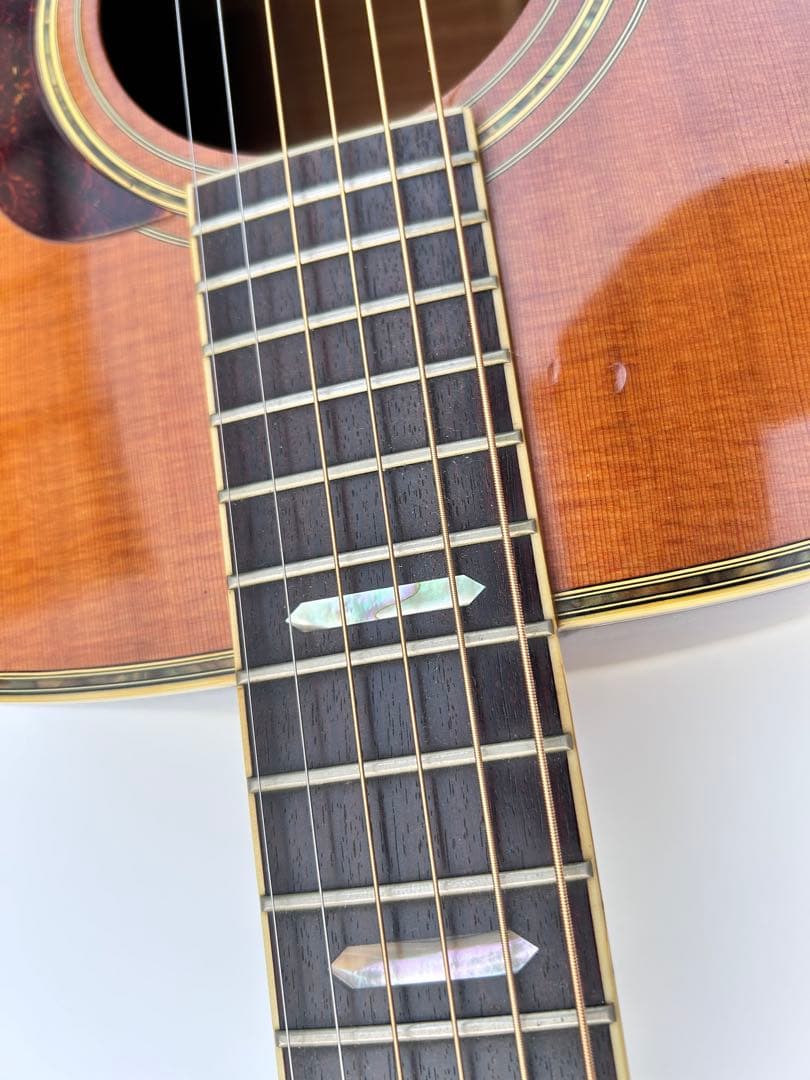 Morris TF-50アコースティックギター