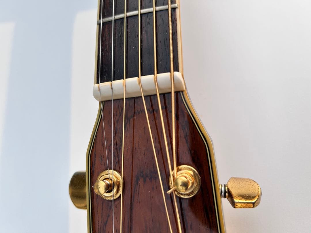 Morris TF-50アコースティックギター