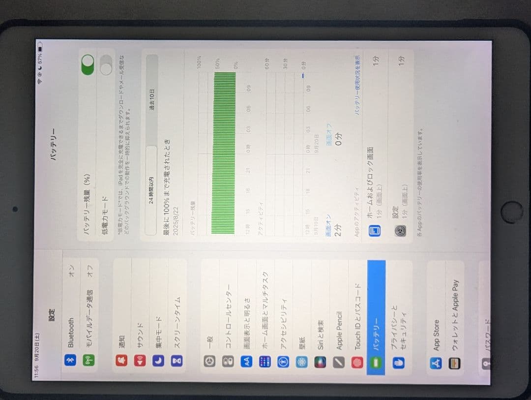 Apple iPad Pro 10.5インチ 256GBオオタ
