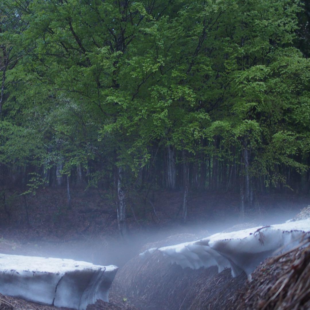 Olympus PEN lite e-pl5ミラーレス一眼カメラ M.Zuiko