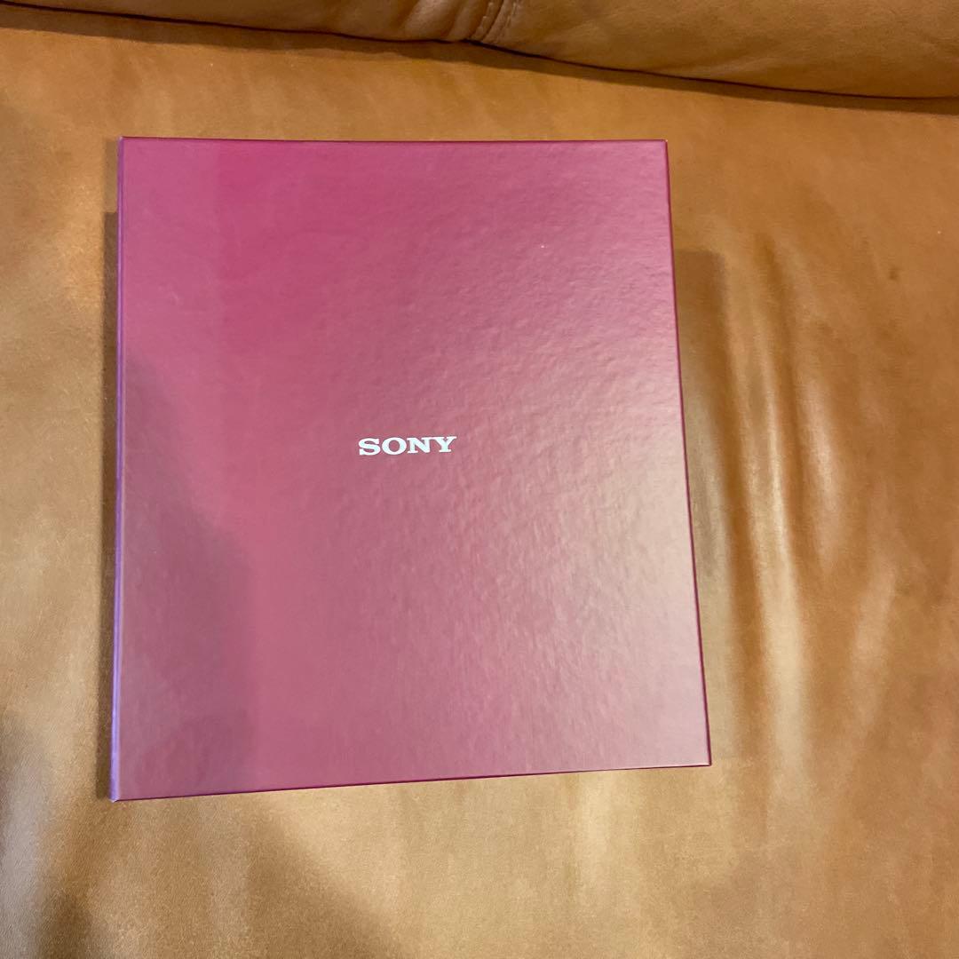 SONY NW-A35 デジタルオーディオプレーヤーケース付き動作正常