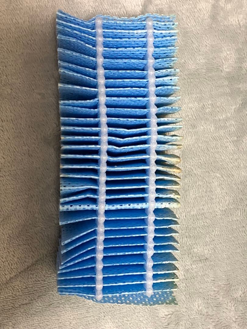 2025年製ダイニチ加湿セラミックファンヒーター EF-H1200G W保証書付