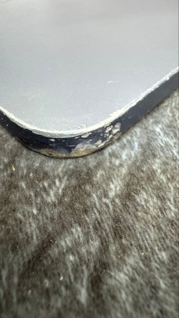 ジャンク　使用可能iPad mini6 256g +Apple Pencil2