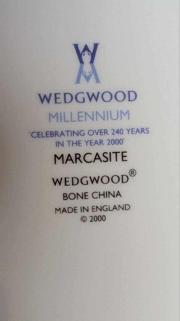  Millennium MARCASITE大皿 5枚セット