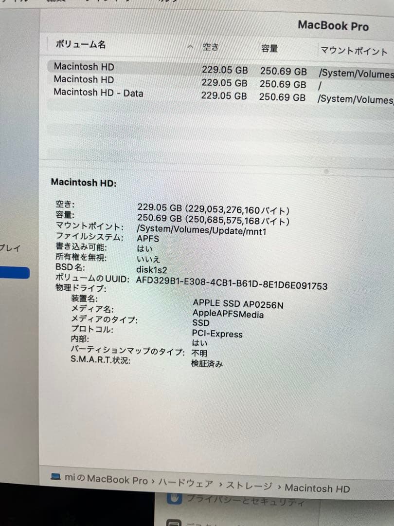 MacBook Pro 256GB 8GB 13インチ MXK32J/A