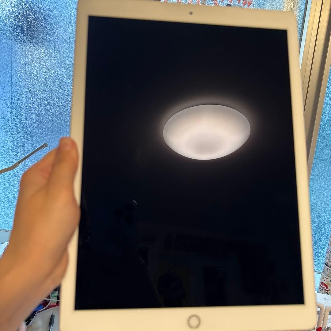 iPad Pro 12.9インチ（第2世代）Wi-Fiモデル 256GB